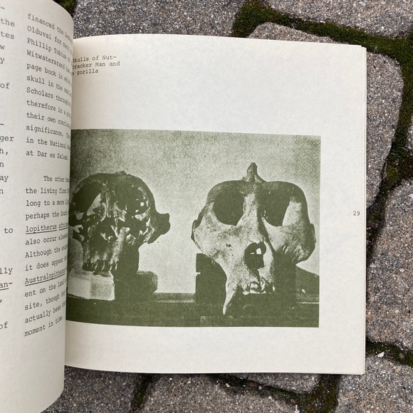 1972 Nutcracker Man Education Developments Hominid Fossil Caveman Apes Sciences - Picture 2 of 10